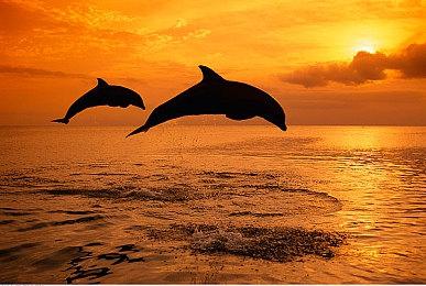 传闻：id开发《雷神之锤》重启作 主角是女姓